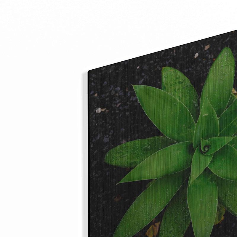 36 po x 36 po, Ebern Designs «The Green Bloom Crop» par Epic Portfolio, art mural en métal, H 12 po x l 12 po