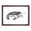 Chameleon in Black & White by George Shaw - Framed Print-55621379-55621381