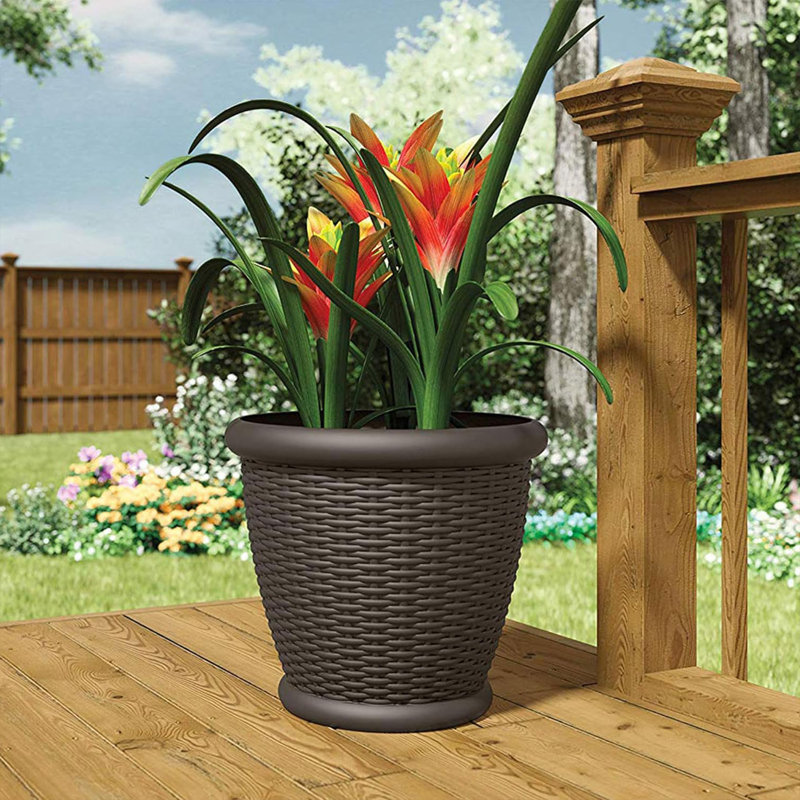 Cache pot, 1 Pack