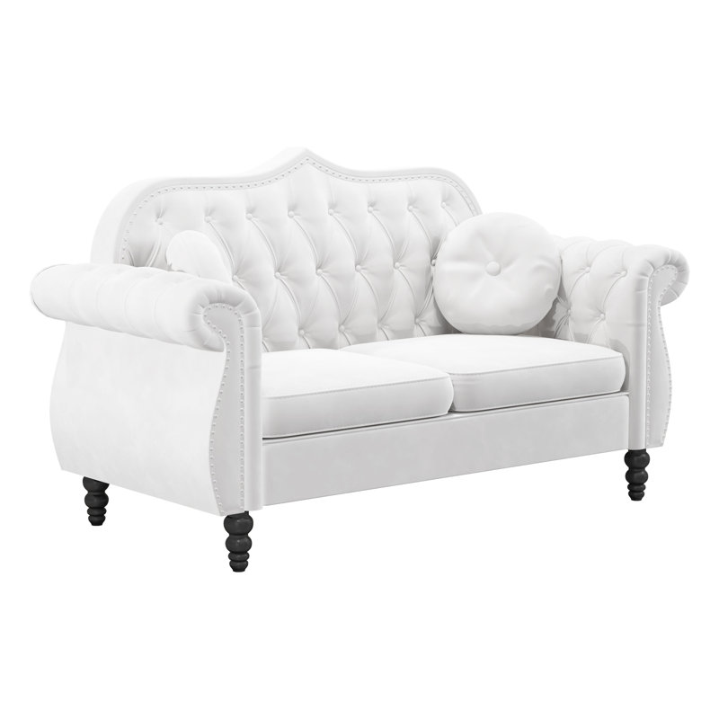 Decorius 60.23'' Velvet Loveseat