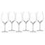 Elegance 14floz Wine Tasting Glass