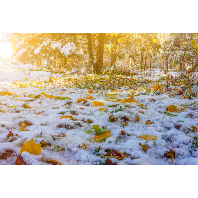 Autumn Landscape - Wrapped Canvas Print