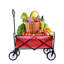 Chariot de plage pliable-112834176