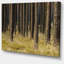«Dark Fall Forest with Green Grass», reproduction de photo sur toile tendue-19240719