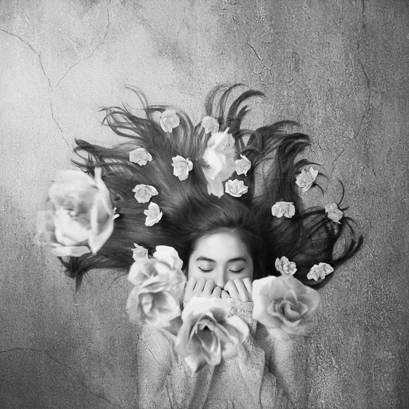 Wrapped Canvas Print, 91.44 cm H x 91.44 cm W