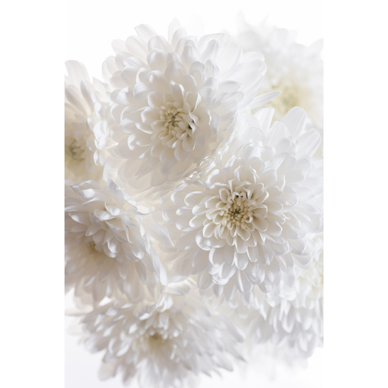 Wrapped Canvas Print, 76.2 cm H x 50.8 cm W