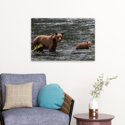 Traversée - animaux, ours, oursons bruns, art