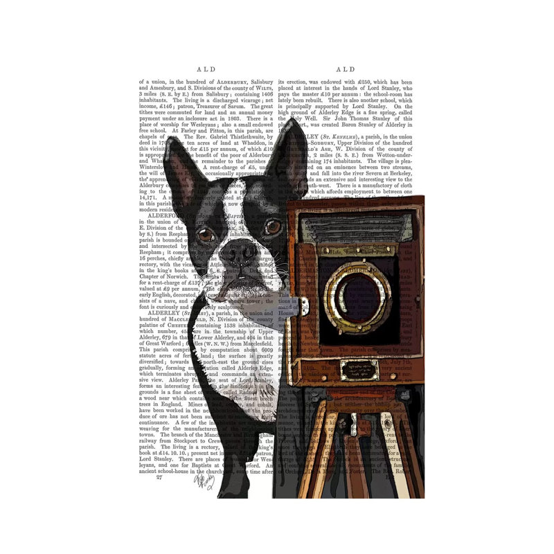 Boston Terrier Photographer by Fab Funky - Wrapped Canvas Print, 66.04 cm H x 45.72 cm W x 1.91 cm D