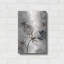 Fleurs monochromes V par Flora Kouta-2039037317