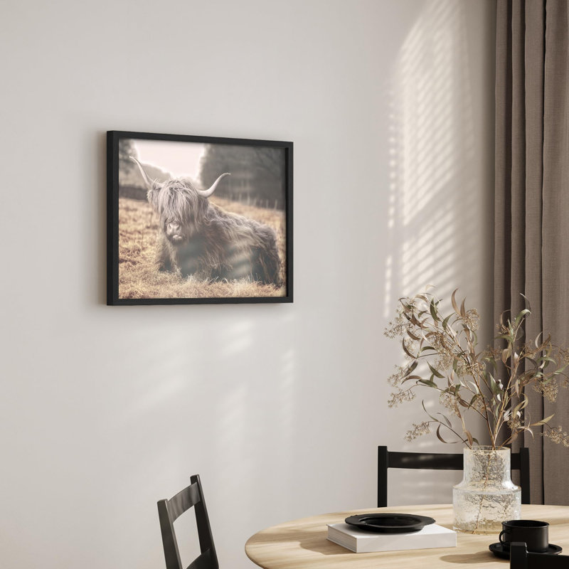 Illustration d'une petite vache Highland, Naturel, H 12 po x l 16 po
