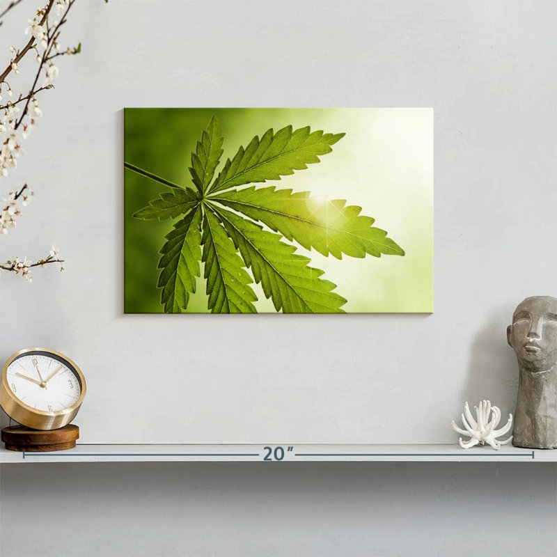 Lever de soleil de la marijuana, 8" H x 12" W