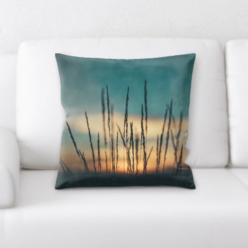 Coussin décoratif flou