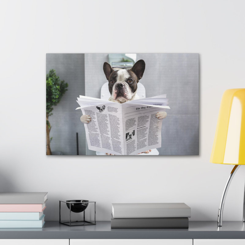 Bouledogue français, lecture de journal sur toilette, H 12 po x l 18 po