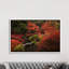 Autumn in Japan XII 1 Piece Wall Art on Canvas-290558904-290558907