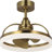 Shear 19'' Ceiling Fan with LED Lights-677193930