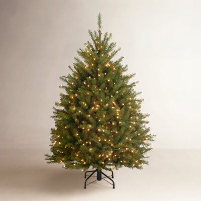 Dunhill Fir Tree with Clear Lights