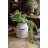 Sisson Metal Pot Planter