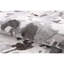 Area Rug-62683202