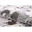 Trenton Abstract Area Rug-55057462