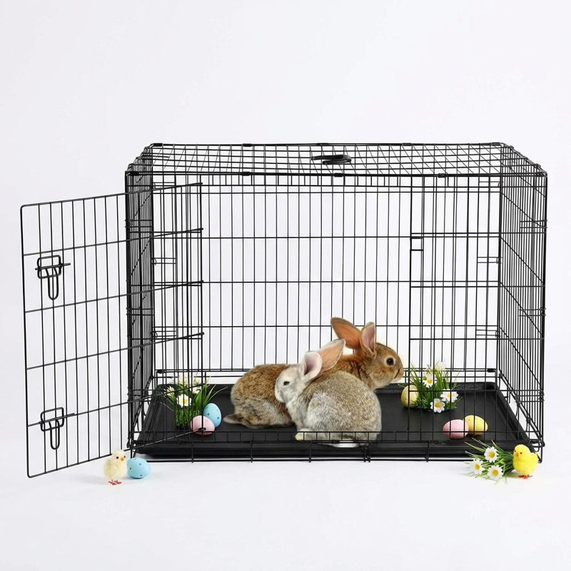 Rabbit Cage
