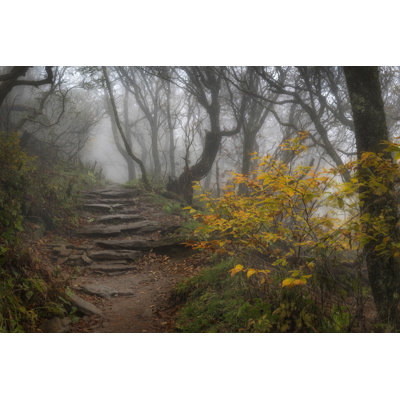 Stone Steps by Danny Head - Photograph Print