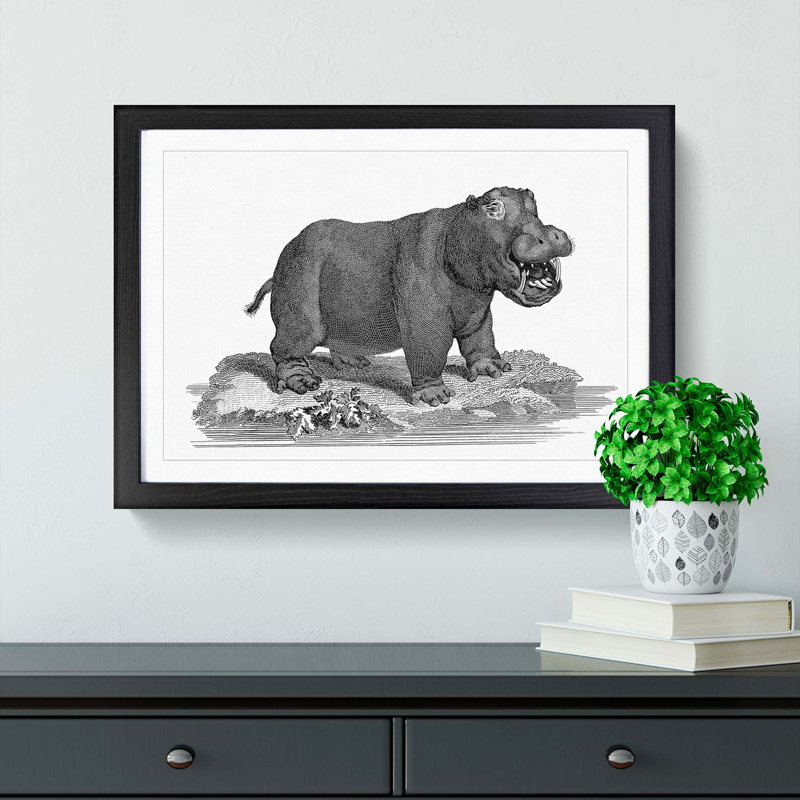 Hippopotamus in Black and White by George Shaw - Picture Frame Drawing Print, Black Framed, 36cm H x 48cm W x 2cm D