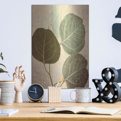 «Eucalyptus Color» par Debra Van Swearingen