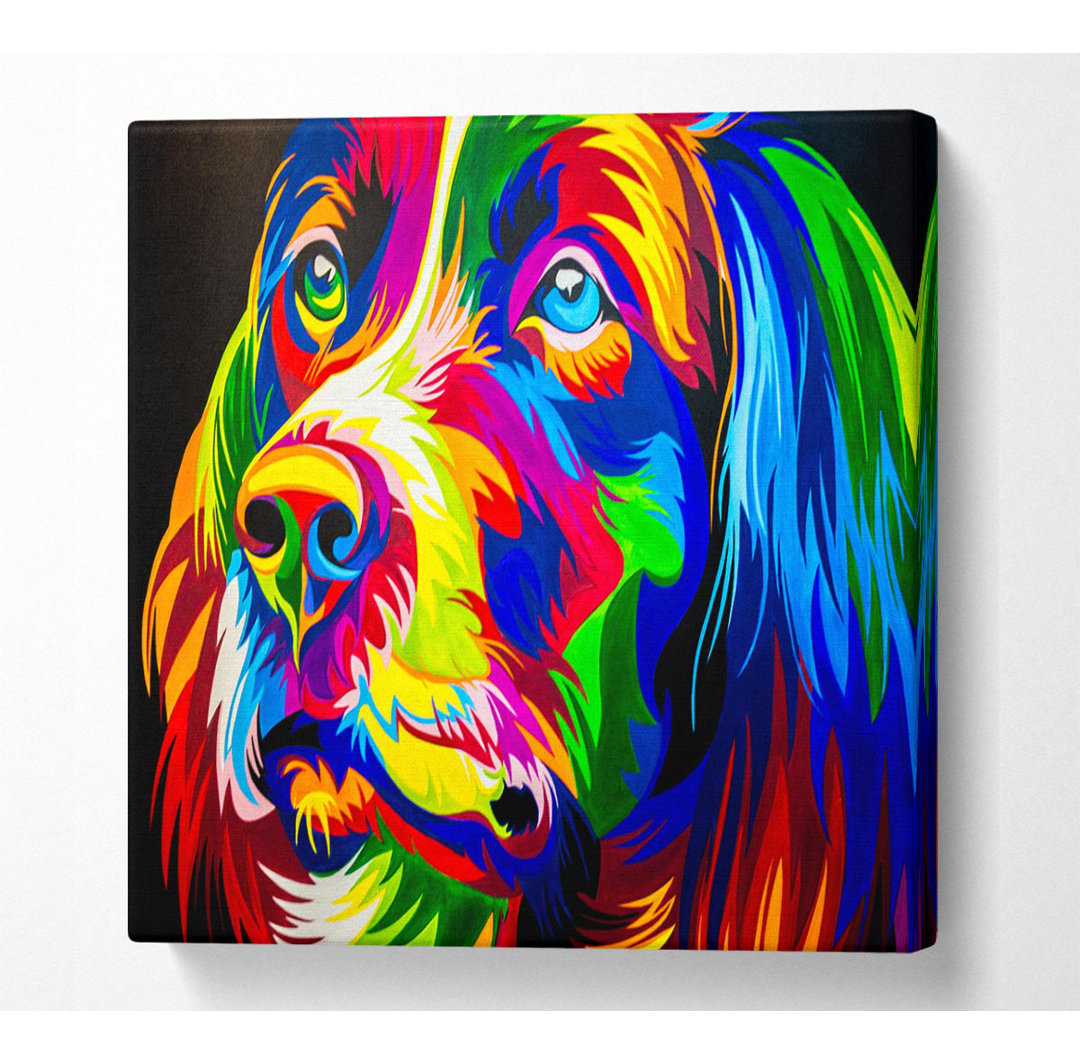 Der umwerfend bunte Hund - Kunstdrucke auf Leinwand - Wrapped Canvas