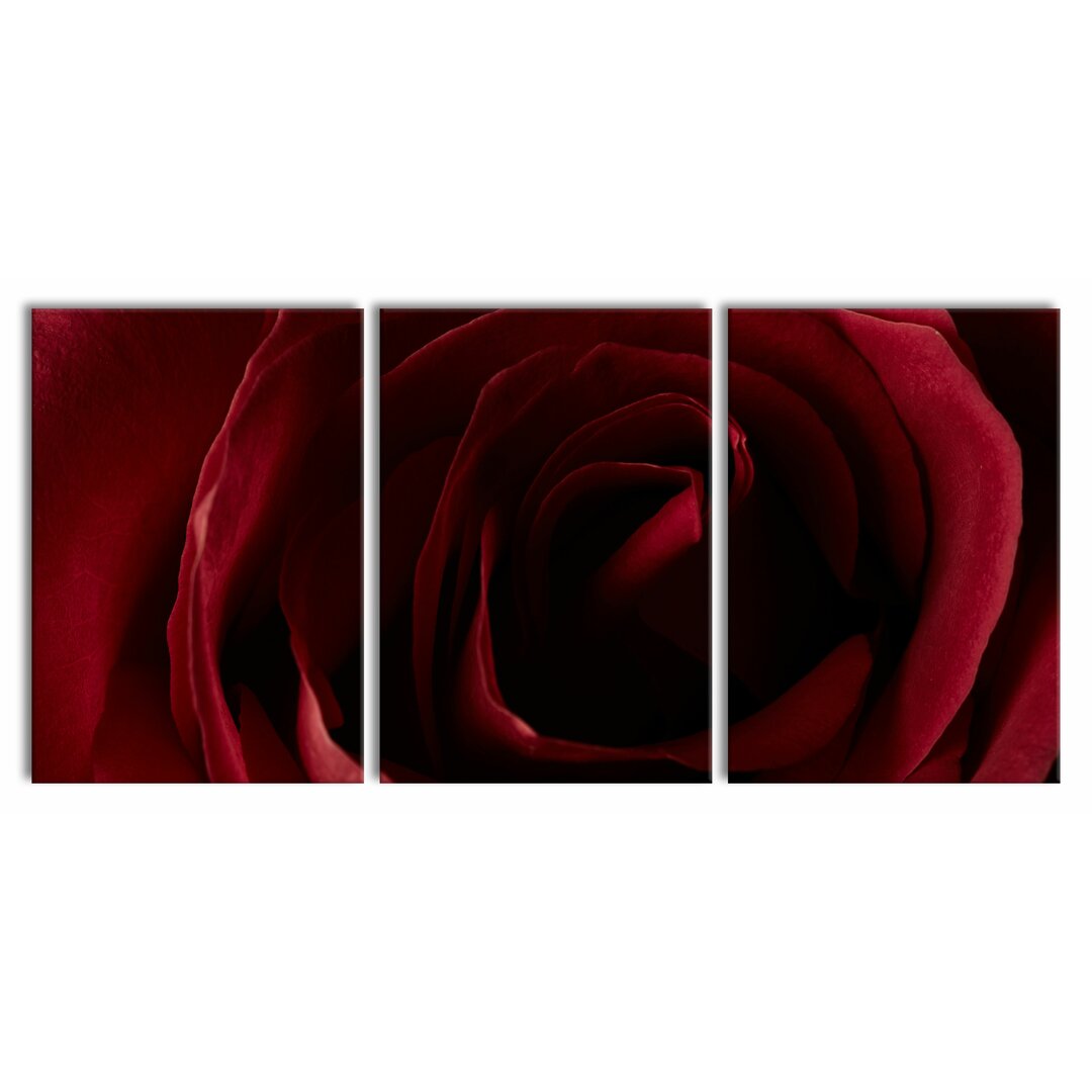 3-tlg. Leinwandbilder-Set Red Rose