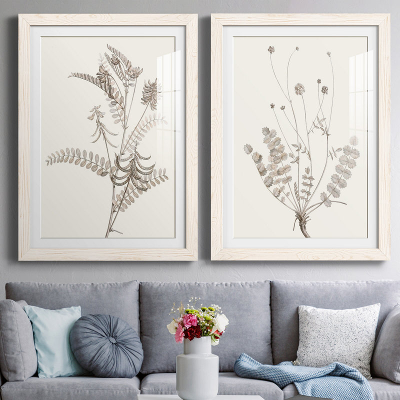 «Neutral Botanical Study VIIP», reproduction d'art encadrée - prête à être accrochée, H 31,5 po x l 47 po x P 1,5 po, Blanc
