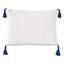 Lumbar Indoor/Outdoor Pillow Cover & Insert