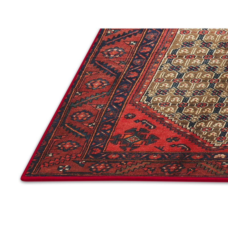 Rouge Tapis décoratif du Sud-Ouest Jupiter, Rectangle 6 pi x 9 pi