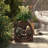 Delvallo Elevated Planter