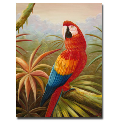 « amazon rain forest » par rio, impression sur toile