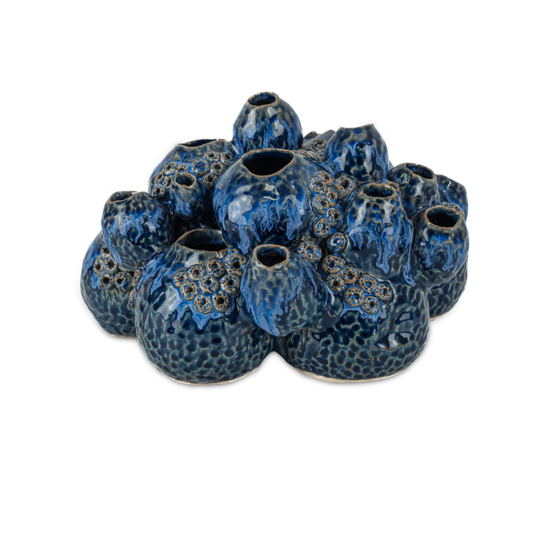 Sulawasi Blue Shells