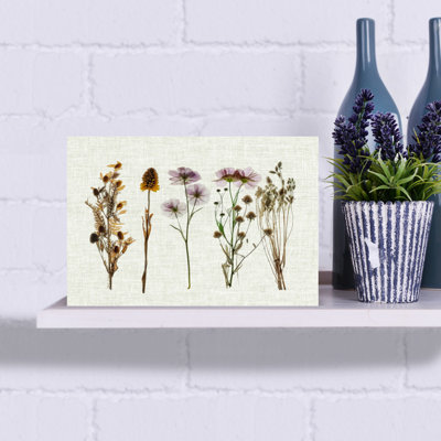 Pressed Flowers For You IV Rustic Vintage Abstract Nature Architecture Wall Art