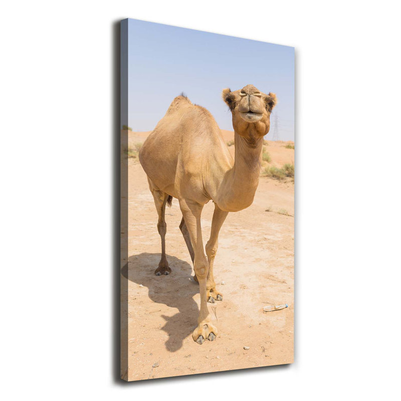 Camel In The Desert - Wrapped Canvas Print