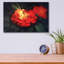 «Night Light-C» par Kirk Reinert-432673389