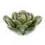Fleur de désert en céramique Arciniega-860255304-860255305