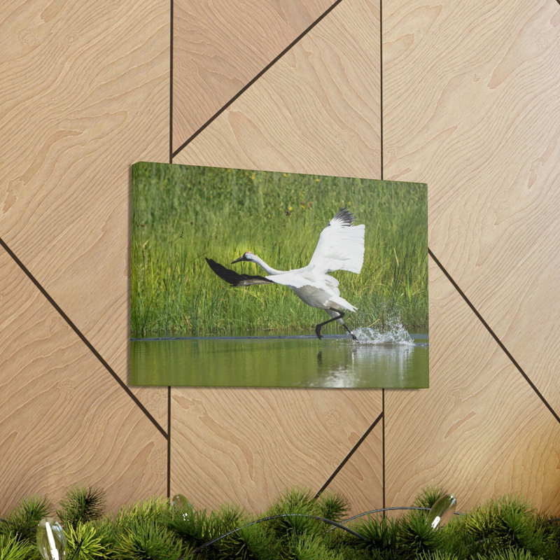 No Frame Print on Canvas
