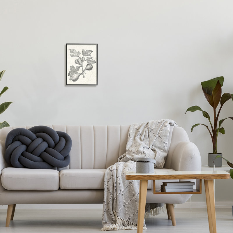 «Vintage Fig Plant Study», dessin encadré sur bois par Lil 'Rue, impression, Giclée encadrée noir minuit
