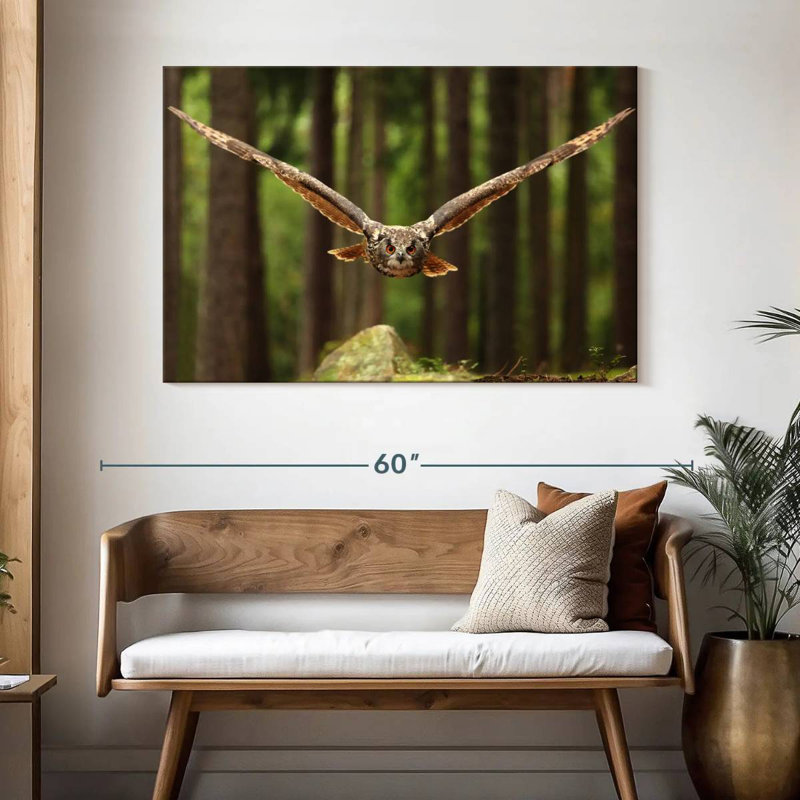 Crowle Eurasian Owl, 32" H x 48" W