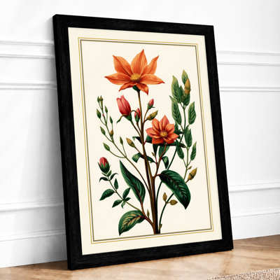 Flowering Study Botanical - Framed Print