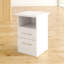 Cascio 2 Drawer Bedside Table-1985906656
