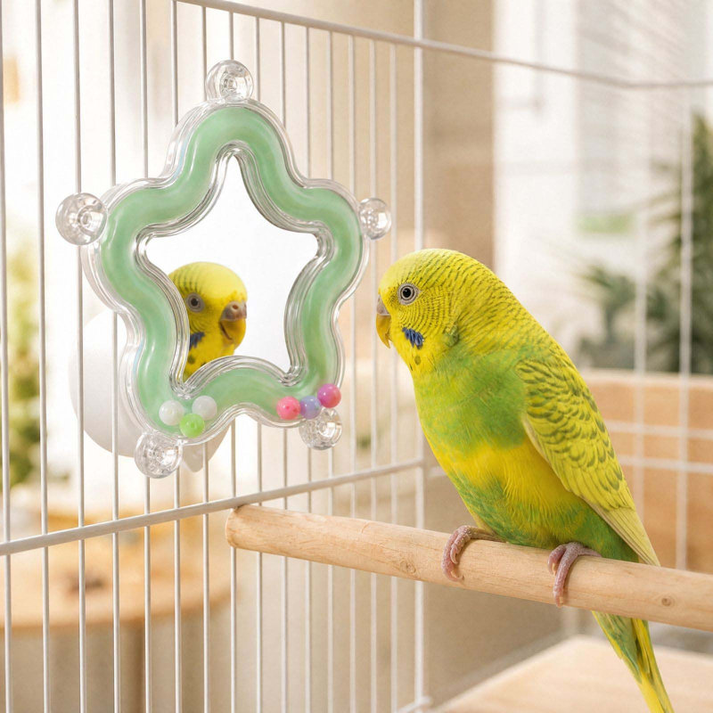 Miroir lumineux rotatif pour aquarium en plastique, accessoire pour cage à oiseaux, miroir en forme d'étoile avec perles colorées