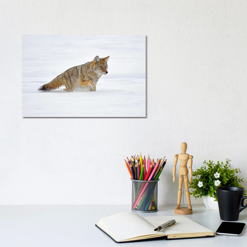 On The Hunt by Brian Wolf - Wrapped Canvas Print, 20.32cm H x 30.48cm W x 1.91cm D