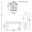 Carlina 6-Light Chandelier