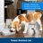 PetSafe Analog 2 Meal Programmable Pet Feeder