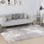 Oriental Area Rug-97802161