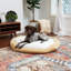 Lit pour chien Chamari Donut-364901631-364901624